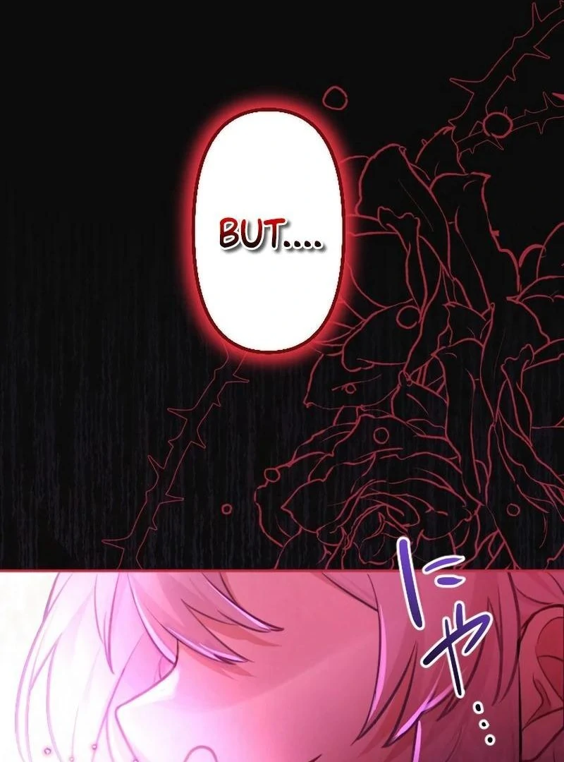 69567305 800 1080 81940