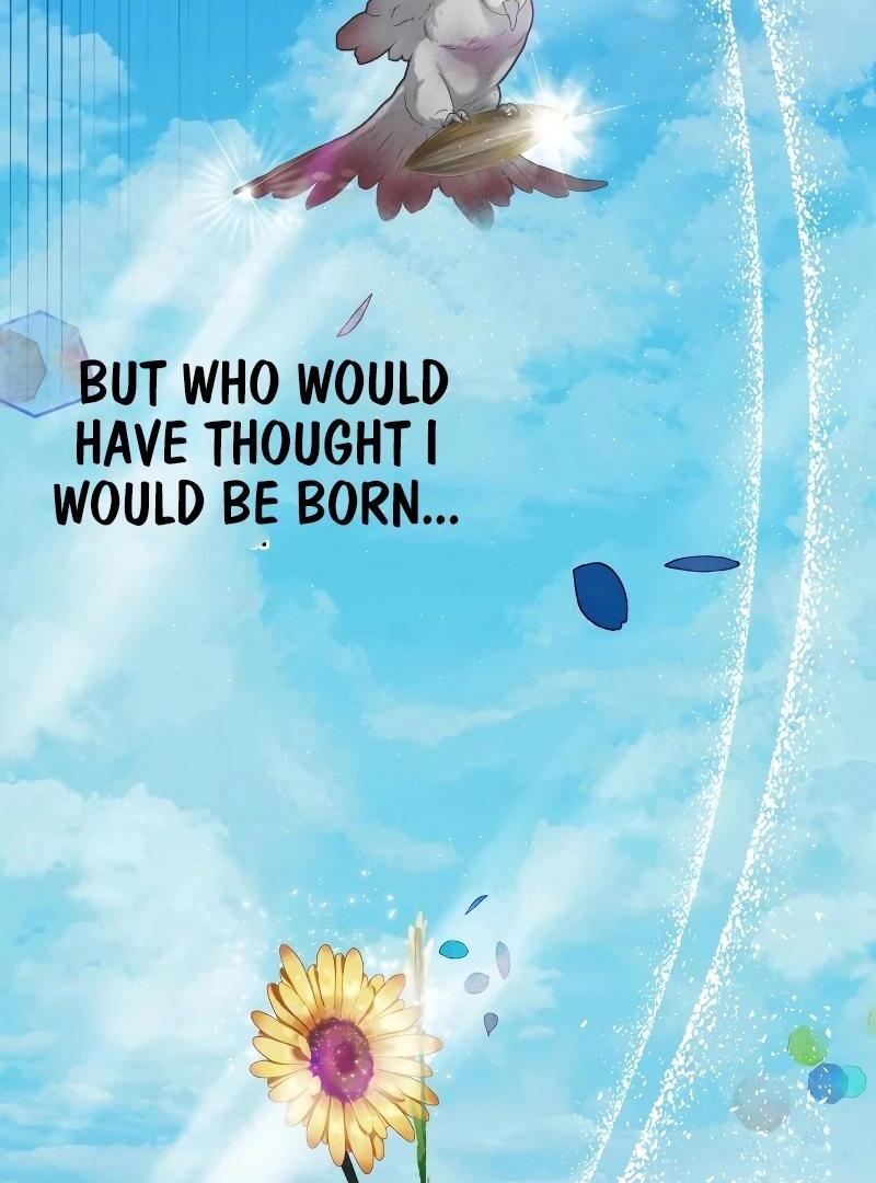 74288203 800 1080 92875